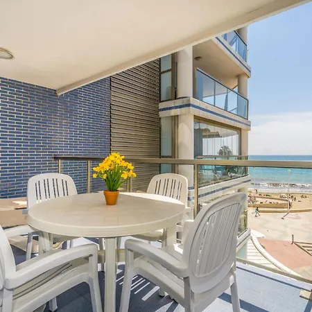 Hipocampos Unitursa Calpe