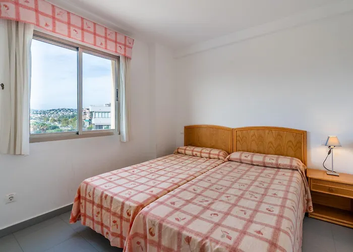 Hipocampos Unitursa *